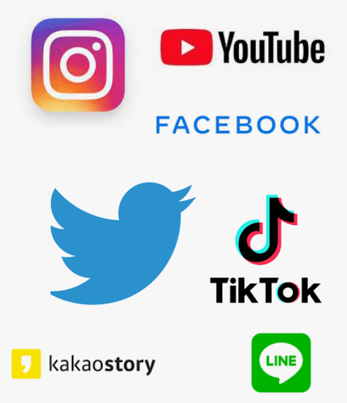 SNS 채널 종류 헤들리 디지털